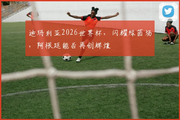 迪玛利亚2026世界杯，闪耀绿茵场，阿根廷能否再创辉煌
