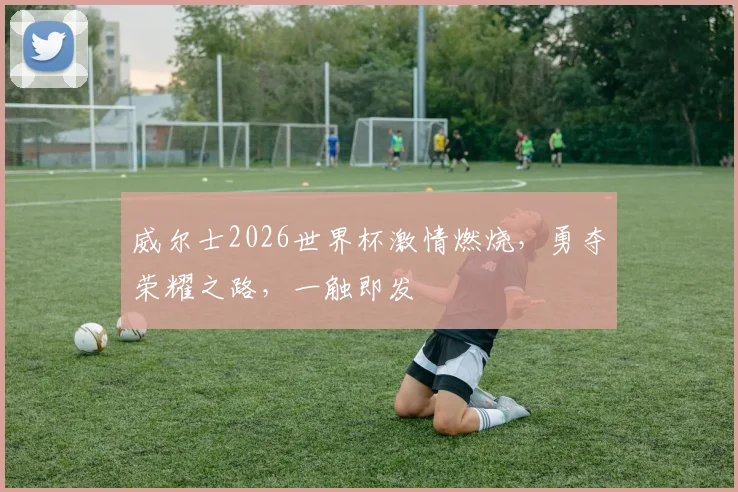 威尔士2026世界杯激情燃烧，勇夺荣耀之路，一触即发